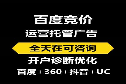 顶级SEM运营公司案例分析
